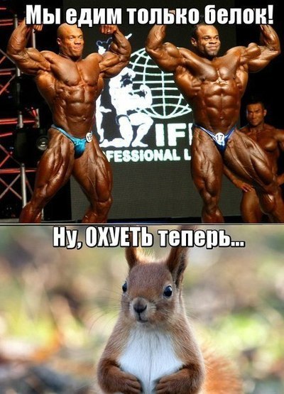 Sterostore.xyz -  Магазин низких цен. - Бодибилдинг форум AnabolicShops