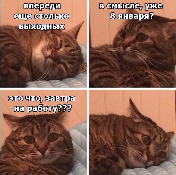 Sterostore.xyz -  Магазин низких цен. - Бодибилдинг форум AnabolicShops