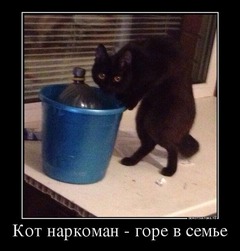 Курилка- разговоры на любые темы - Бодибилдинг форум AnabolicShops