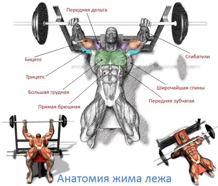 Sterostore.xyz -  Магазин низких цен. - Бодибилдинг форум AnabolicShops