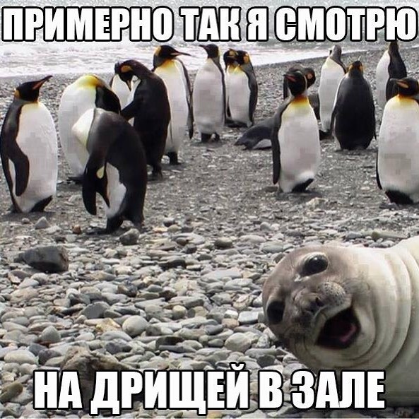 Курилка- разговоры на любые темы - Бодибилдинг форум AnabolicShops