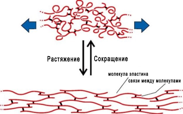 Sterostore.xyz -  Магазин низких цен. - Бодибилдинг форум AnabolicShops