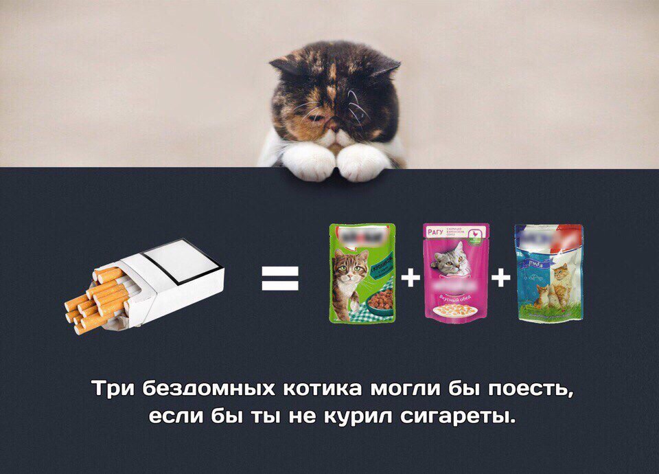 Курилка- разговоры на любые темы - Бодибилдинг форум AnabolicShops