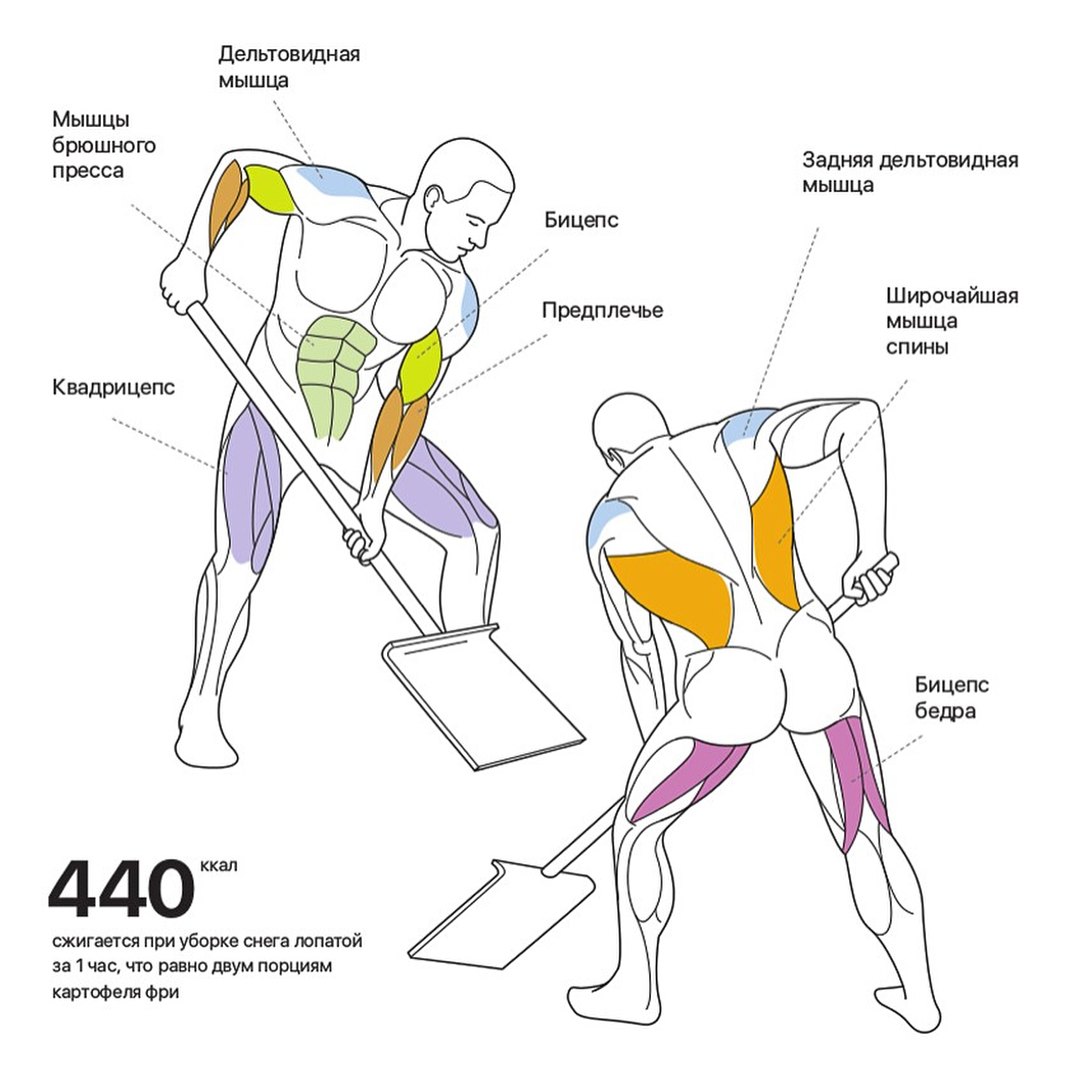 Фотоотчеты МСК - Бодибилдинг форум AnabolicShops