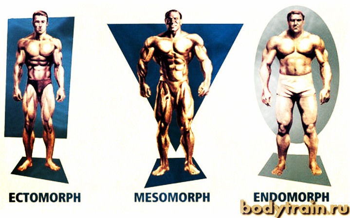Sterostore.xyz -  Магазин низких цен. - Бодибилдинг форум AnabolicShops