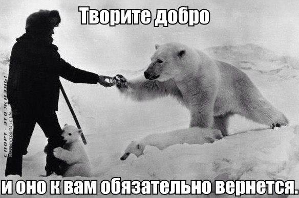 ПосылкиОтПечкина. Лучшие цены, на лучшую продукцию. - Бодибилдинг форум AnabolicShops