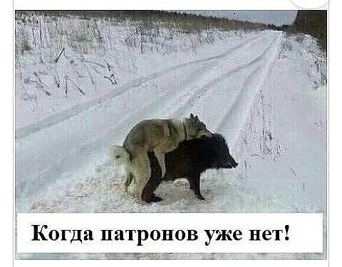 Sterostore.xyz -  Магазин низких цен. - Бодибилдинг форум AnabolicShops