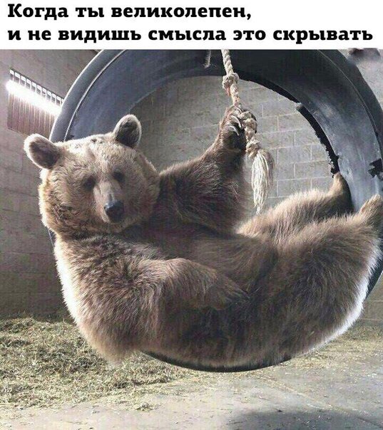Курилка- разговоры на любые темы - Бодибилдинг форум AnabolicShops