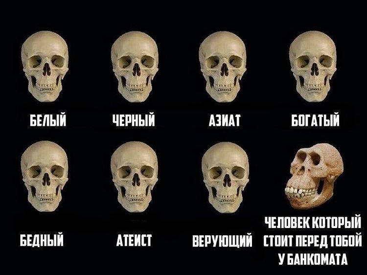Приколюшные картинки - Бодибилдинг форум AnabolicShops
