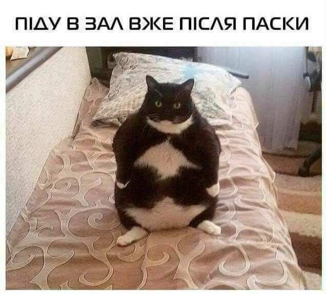 Курилка- разговоры на любые темы - Бодибилдинг форум AnabolicShops
