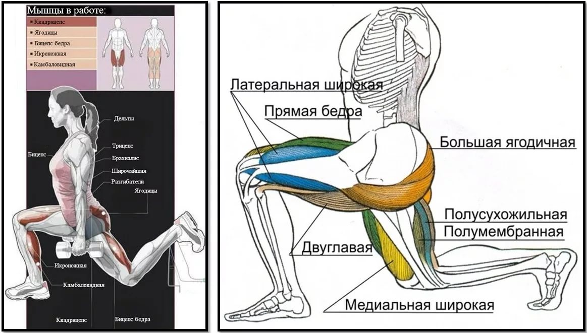 Sterostore.xyz -  Магазин низких цен. - Бодибилдинг форум AnabolicShops