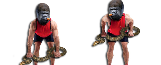 Clan Suicide man's - Бодибилдинг форум AnabolicShops