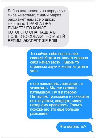 Курилка- разговоры на любые темы - Бодибилдинг форум AnabolicShops