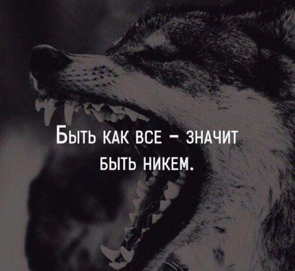 Natusik - Меркантильная суЧность или Сильная Красотка - Бодибилдинг форум AnabolicShops