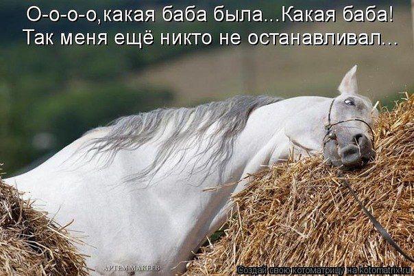 Курилка- разговоры на любые темы - Бодибилдинг форум AnabolicShops