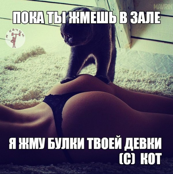 Sterostore.xyz -  Магазин низких цен. - Бодибилдинг форум AnabolicShops