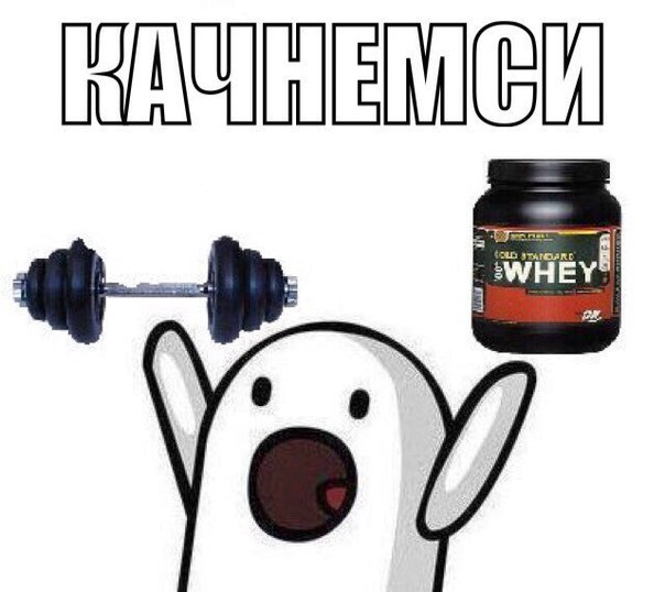 Викинг Фарма. - Бодибилдинг форум AnabolicShops