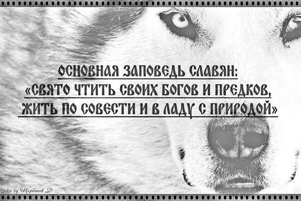 Трансформация духа ..Второе дыхание. . - Бодибилдинг форум AnabolicShops