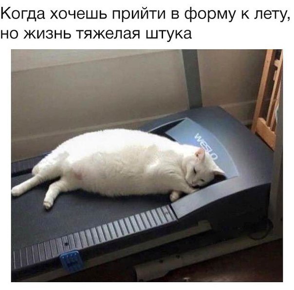 Курилка- разговоры на любые темы - Бодибилдинг форум AnabolicShops