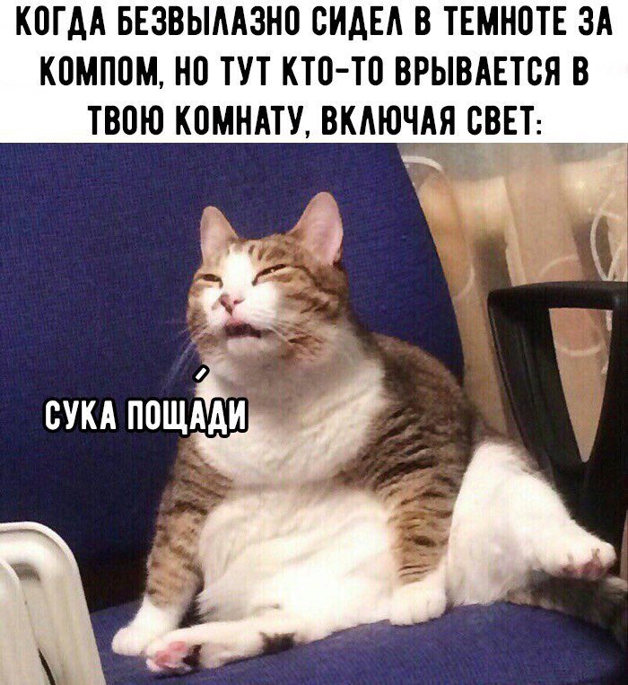 Курилка- разговоры на любые темы - Бодибилдинг форум AnabolicShops