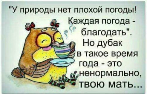 IndiaGenericPower- магазин ПКТ! - Бодибилдинг форум AnabolicShops