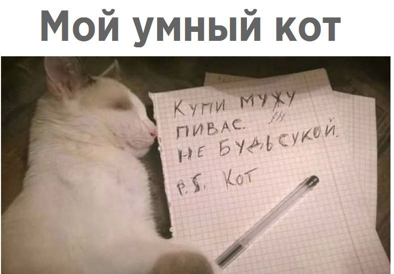 Курилка- разговоры на любые темы - Бодибилдинг форум AnabolicShops