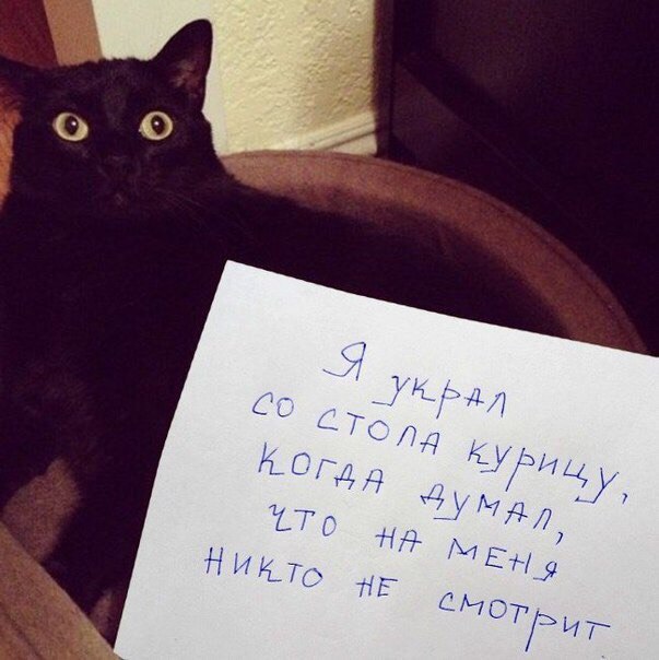 Курилка- разговоры на любые темы - Бодибилдинг форум AnabolicShops
