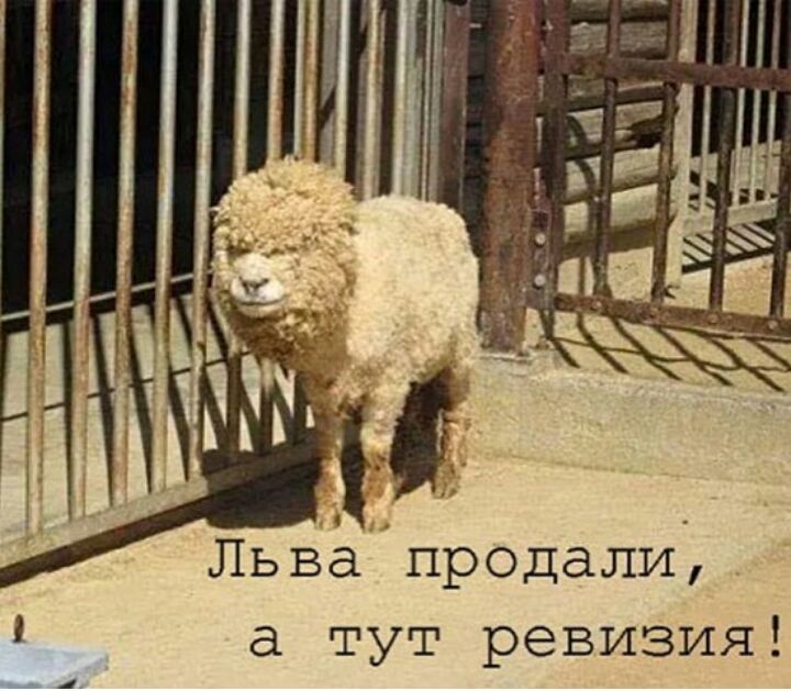 Курилка- разговоры на любые темы - Бодибилдинг форум AnabolicShops