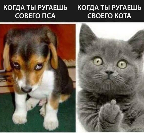 Курилка- разговоры на любые темы - Бодибилдинг форум AnabolicShops
