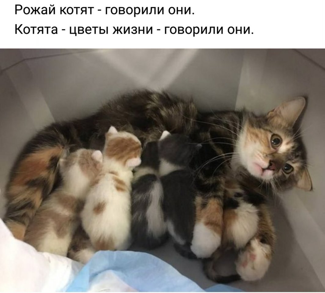 Курилка- разговоры на любые темы - Бодибилдинг форум AnabolicShops