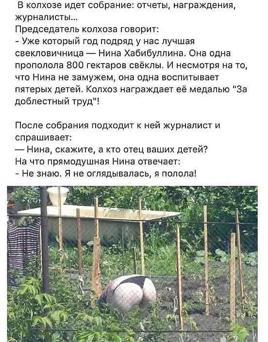 Анекдоты обо всем - Бодибилдинг форум AnabolicShops