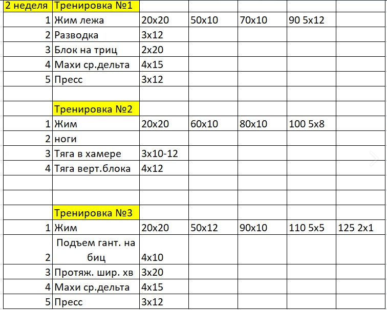 alex1601. Тренировки под руководством Kain. - Бодибилдинг форум AnabolicShops
