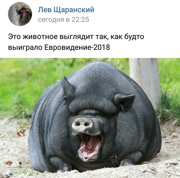 Курилка- разговоры на любые темы - Бодибилдинг форум AnabolicShops