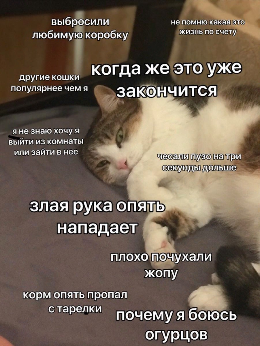 Курилка- разговоры на любые темы - Бодибилдинг форум AnabolicShops