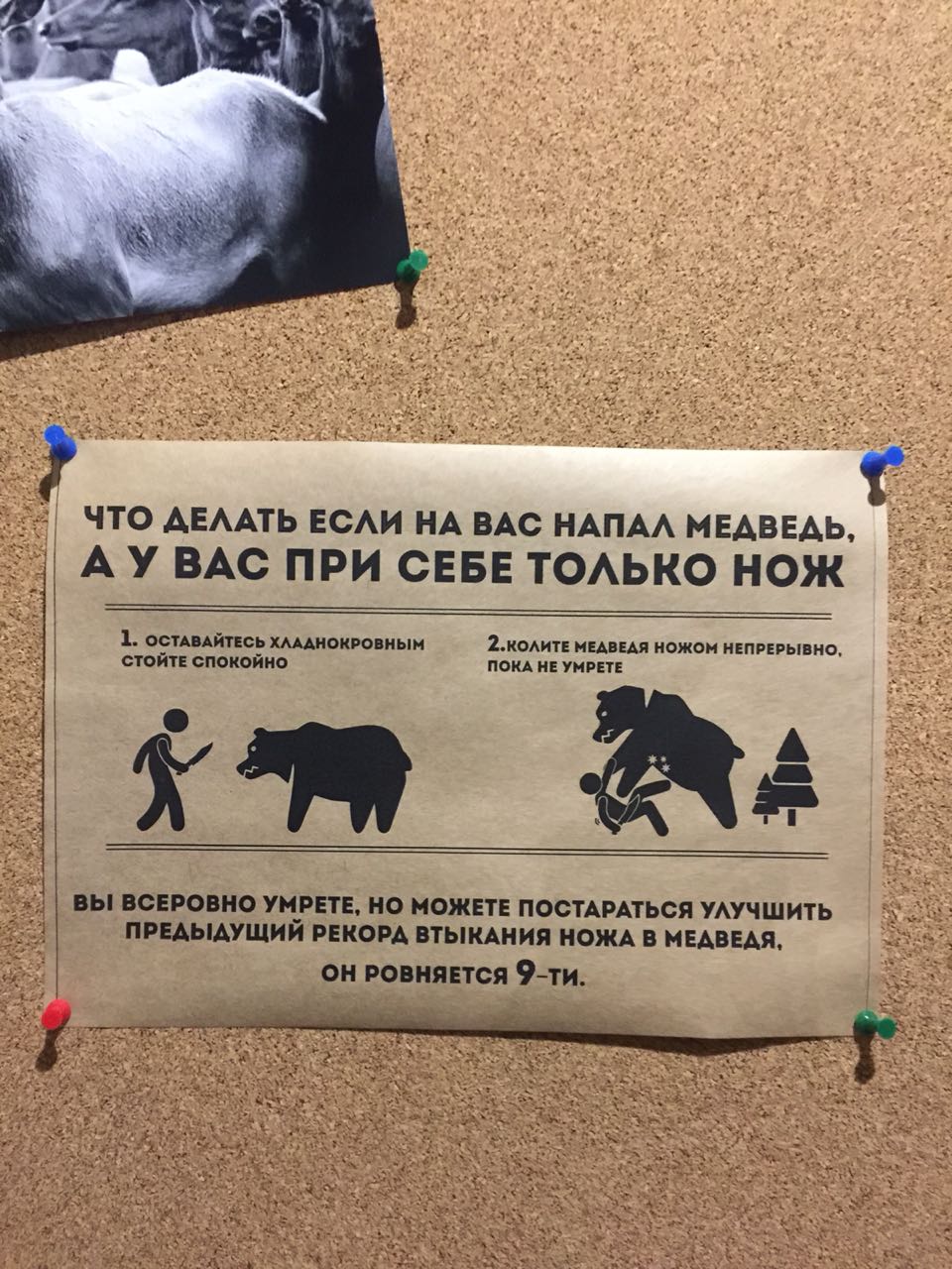 Анекдоты обо всем - Бодибилдинг форум AnabolicShops