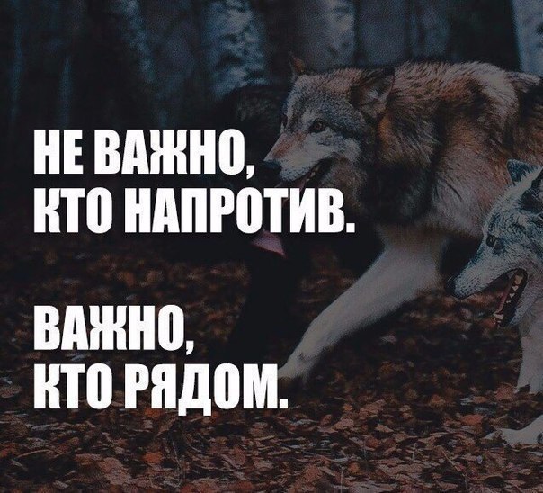 Курилка- разговоры на любые темы - Бодибилдинг форум AnabolicShops