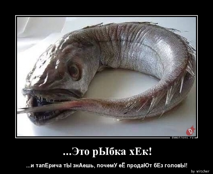 Johnny-Shop.info - Бодибилдинг форум AnabolicShops