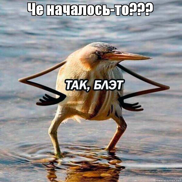 Тестостерона ундеканоат (Небидо). Всё,  что вы хотели знать, но не знали,  у кого спросить. - Бодибилдинг форум AnabolicShops