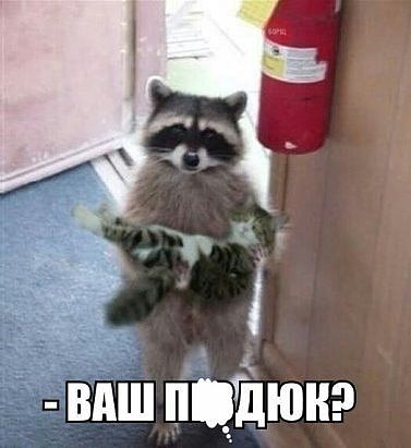 Курилка- разговоры на любые темы - Бодибилдинг форум AnabolicShops