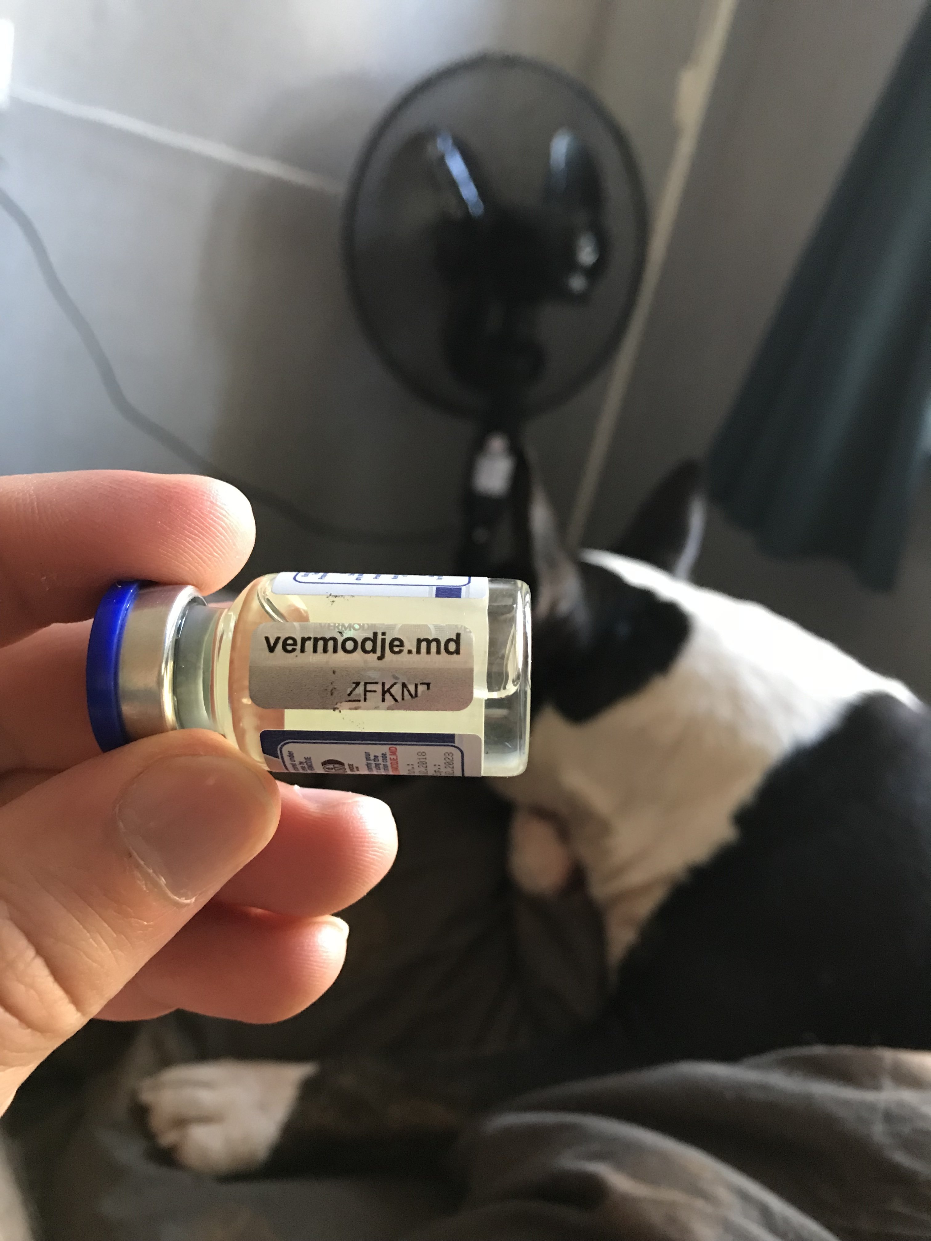 bestpharma.life - Бодибилдинг форум AnabolicShops