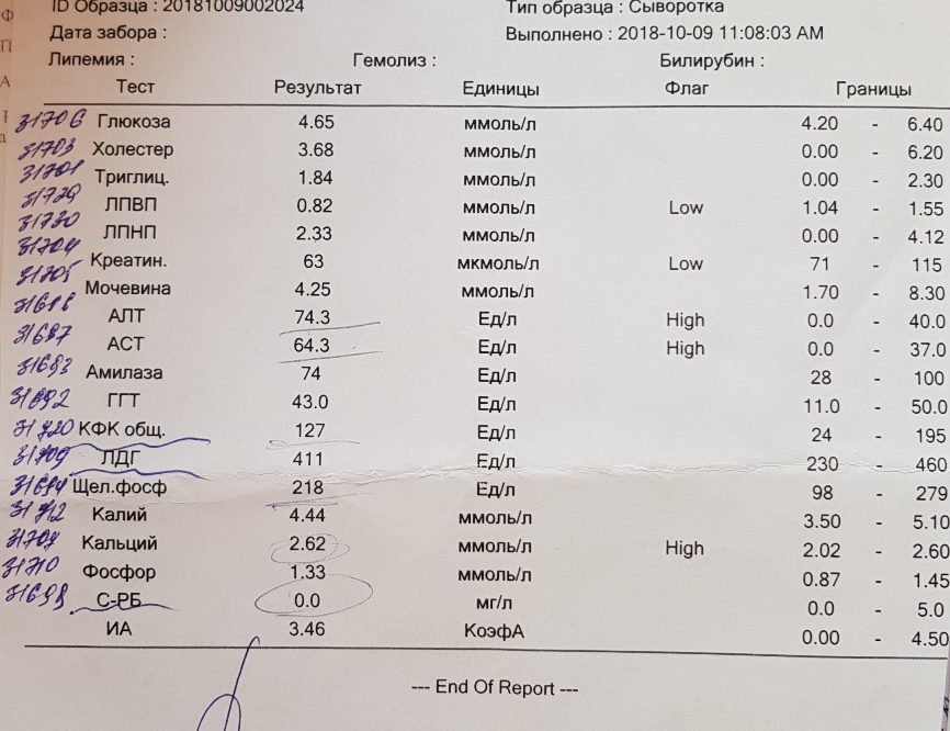 VсеVолоD качалка лечит.... - Бодибилдинг форум AnabolicShops