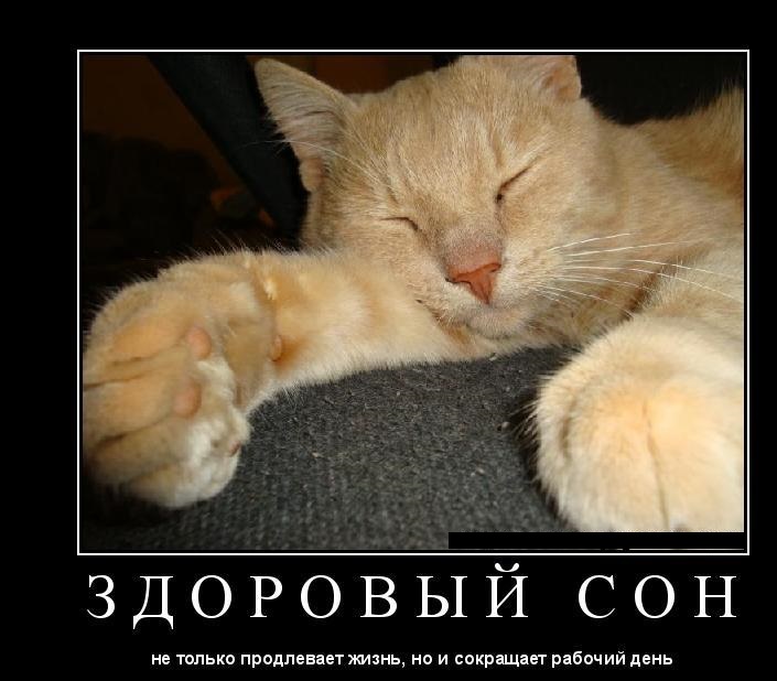 Kain & Valkery "Операция Тай" - Бодибилдинг форум AnabolicShops