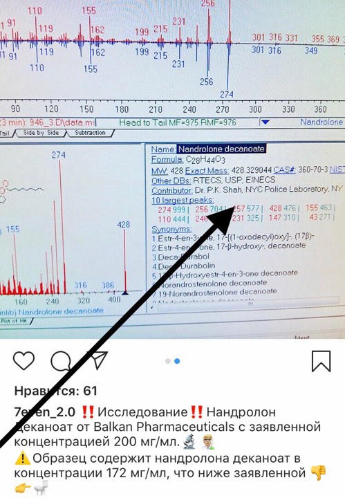 HP-Laboratories - Бодибилдинг форум AnabolicShops
