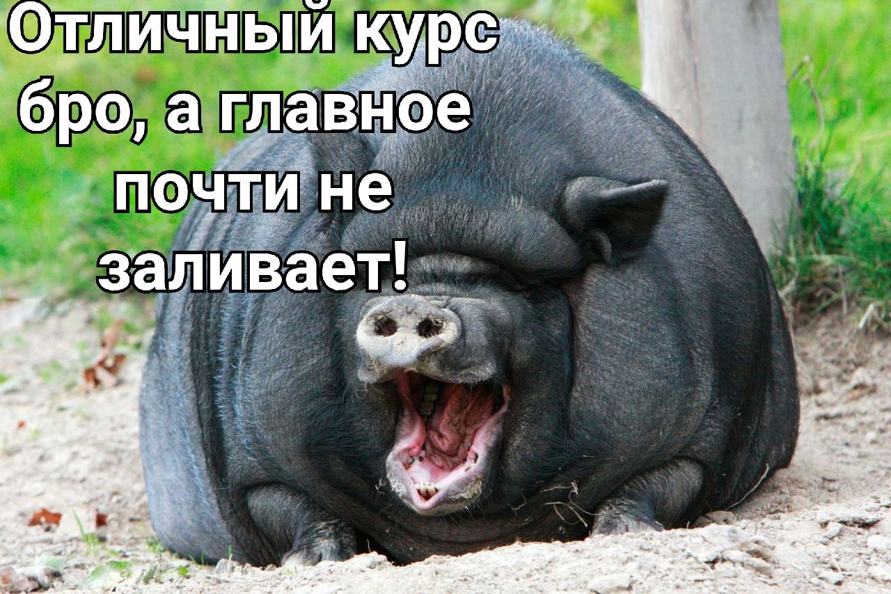 Интернет Магазин nadopinge.com - Бодибилдинг форум AnabolicShops