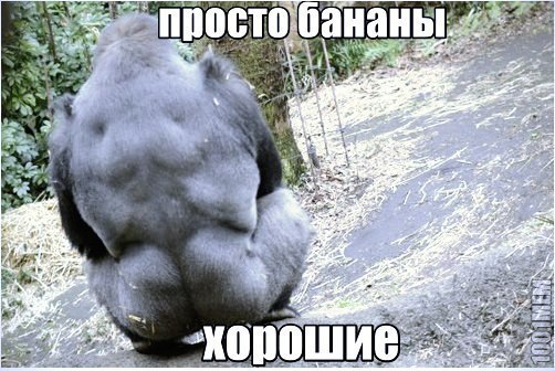 Sdelaitelo.BIZ - Бодибилдинг форум AnabolicShops