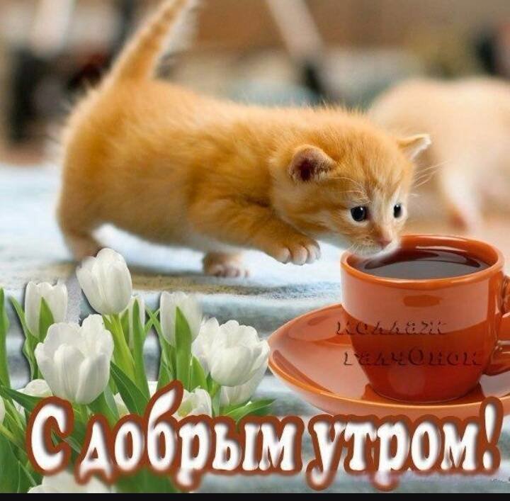 UltraPharm - это качественная фармакология с большим ассортиментом. - Бодибилдинг форум AnabolicShops