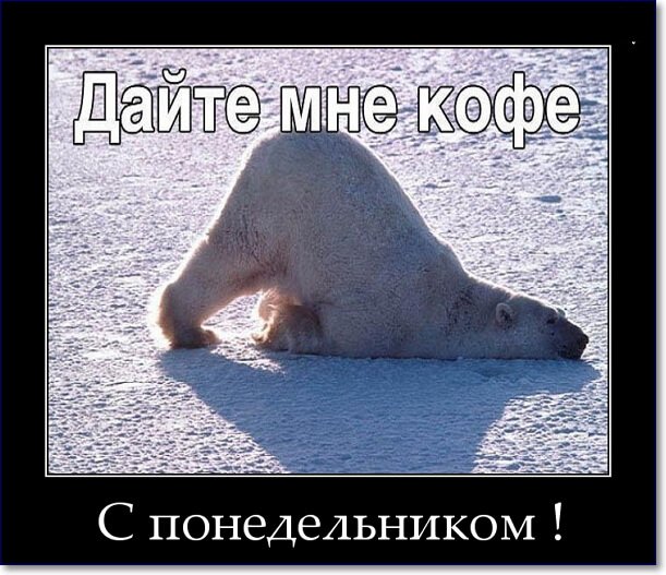 UltraPharm - это качественная фармакология с большим ассортиментом. - Бодибилдинг форум AnabolicShops