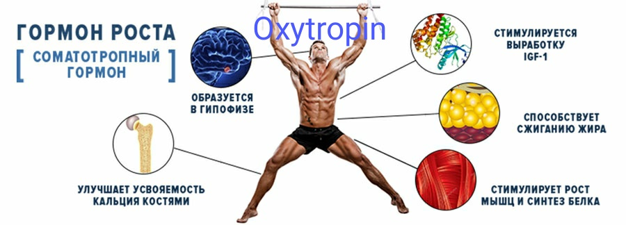 Oxytropin - гормон роста - Бодибилдинг форум AnabolicShops