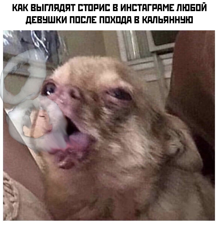 Курилка- разговоры на любые темы - Бодибилдинг форум AnabolicShops