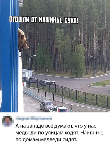 Курилка- разговоры на любые темы - Бодибилдинг форум AnabolicShops